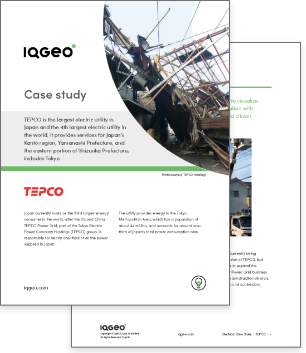 TEPCO disaster response case study